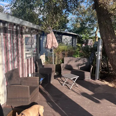 Glamping Auf Sylt